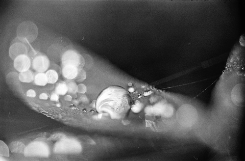 In viverra faucibus tellus, sed cursus quam fringilla sit amet